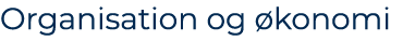 Organisation og konomi