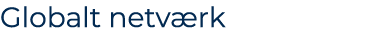Globalt netv rk
