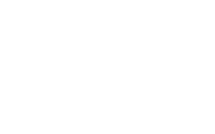 Globalt netv rk 