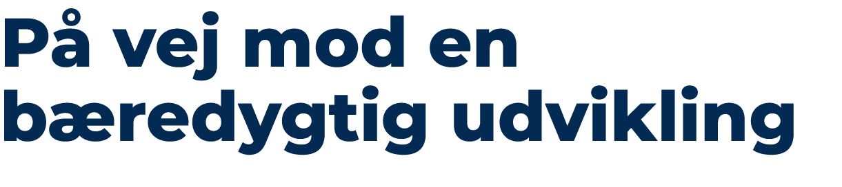 P vej mod en b redygtig udvikling 