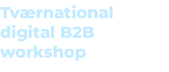 Tv rnational digital B2B workshop