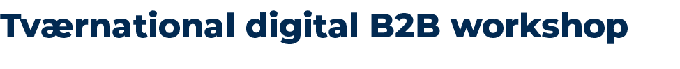 Tv rnational digital B2B workshop