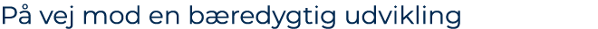 P vej mod en b redygtig udvikling