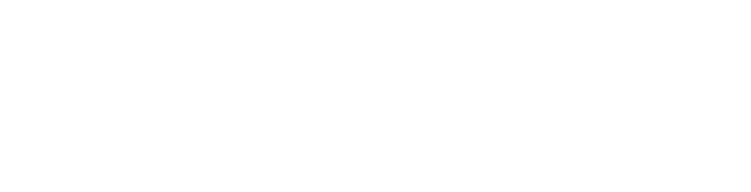 Organisation og regnskab