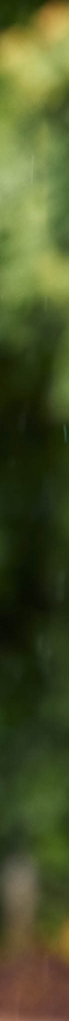 Photo by Morten Fauerby // MONTGOMERY morten@montgomery.dk phone +45 20997076  www.montgomery.dk  