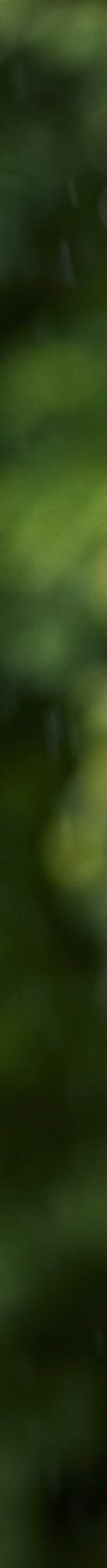 Photo by Morten Fauerby // MONTGOMERY morten@montgomery.dk phone +45 20997076  www.montgomery.dk  