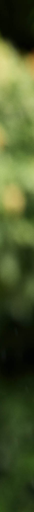 Photo by Morten Fauerby // MONTGOMERY morten@montgomery.dk phone +45 20997076  www.montgomery.dk  