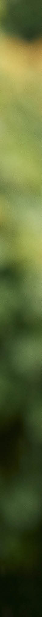 Photo by Morten Fauerby // MONTGOMERY morten@montgomery.dk phone +45 20997076  www.montgomery.dk  