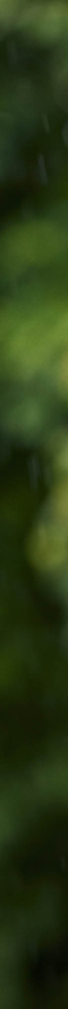 Photo by Morten Fauerby // MONTGOMERY morten@montgomery.dk phone +45 20997076  www.montgomery.dk  